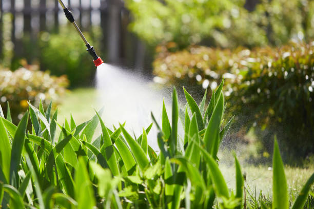 24/7 Emergency Ant Control experts in Savannah, GA