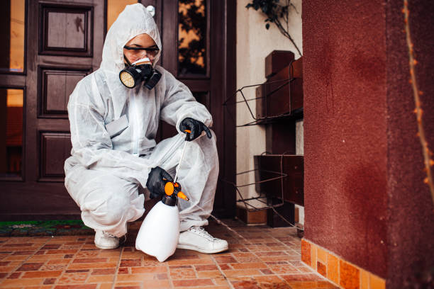 Reliable Ant Control contractor in Savannah, GA by Show Me Pest Control